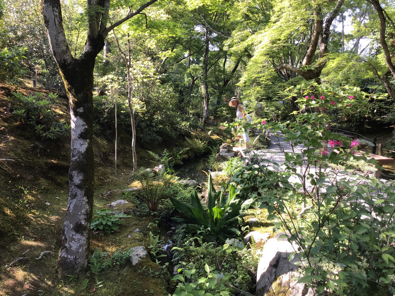 Mountain stream....in the Tenryu Ji Garden
