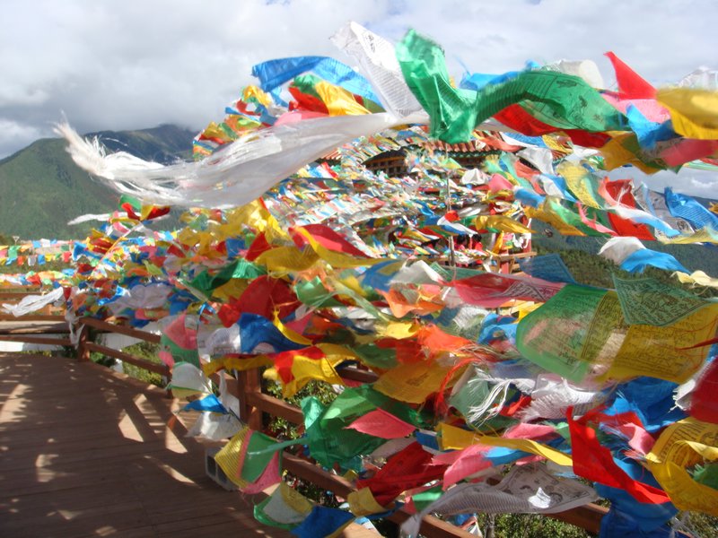 Tibetan flags 3