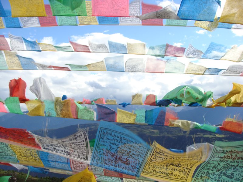 Tibetan flags 4