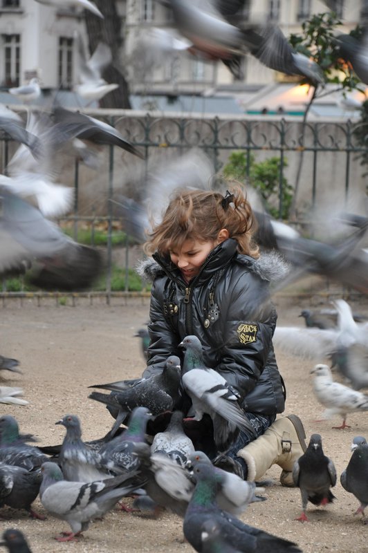 Pigeons and girl
