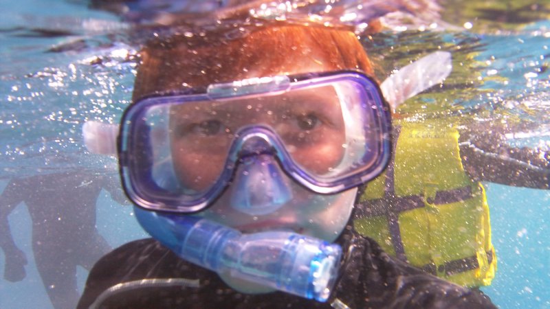 Snorkeling on Arlington reef