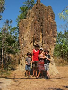 Magnetic termite mounds - Litchfield Np
