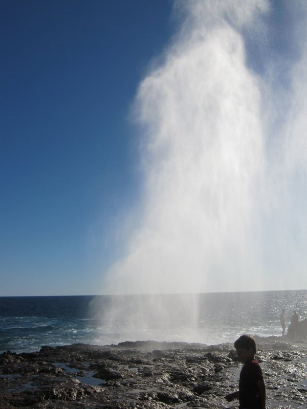 the blow hole