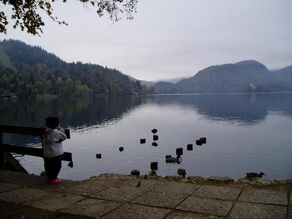 Little Boy watching the world go by, Lake Bled