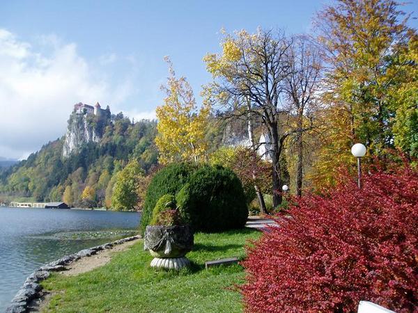 Sunny Lake Bled