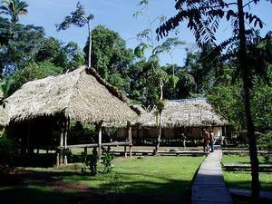 Our Lodge in the Jungle