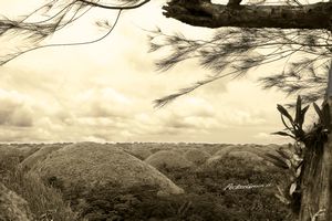 chocolate hills