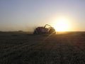 harvesting at Sunset