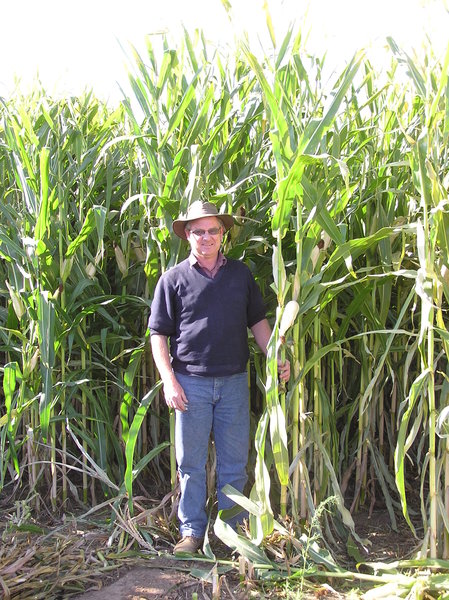 Nigel. Outstanding in a Corn Field