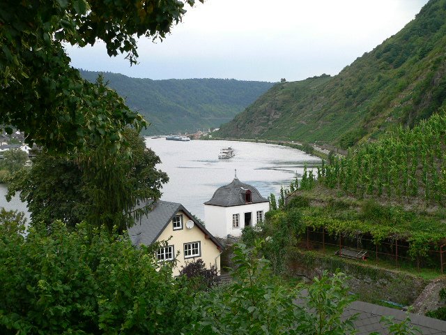 view on Mosel from Bleistein