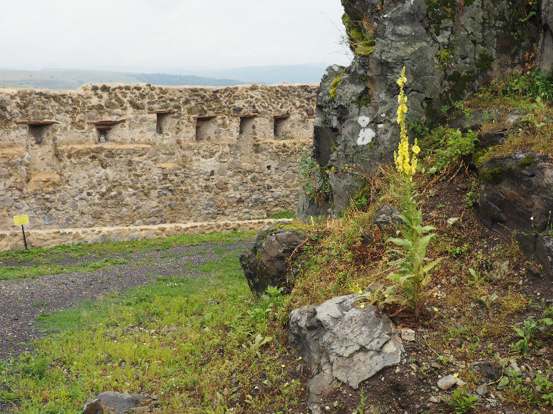 citadel Ropea 3