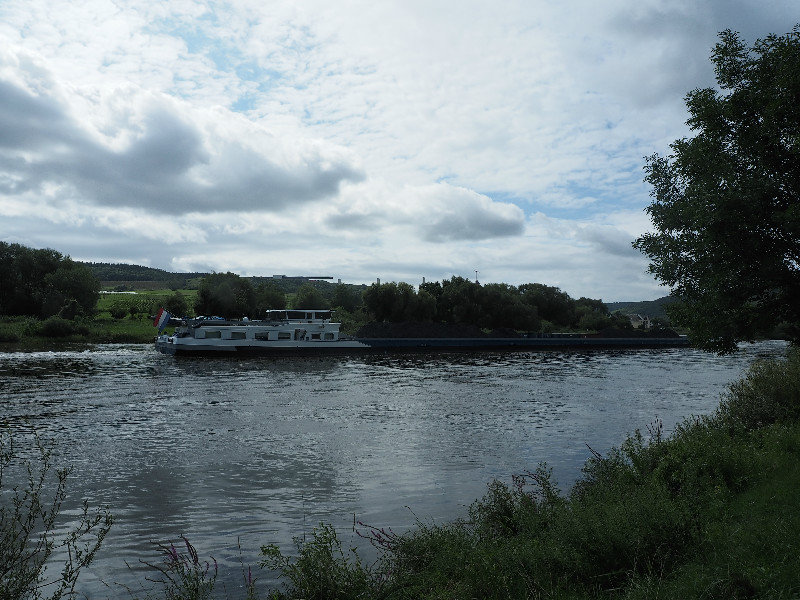 the Mosel