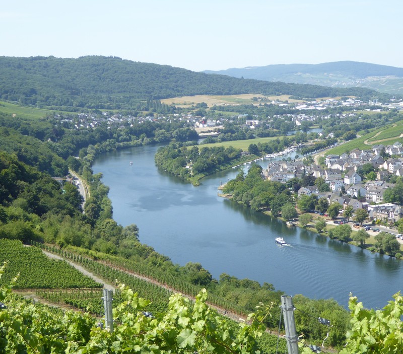 view on the Mosel