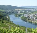 view on the Mosel