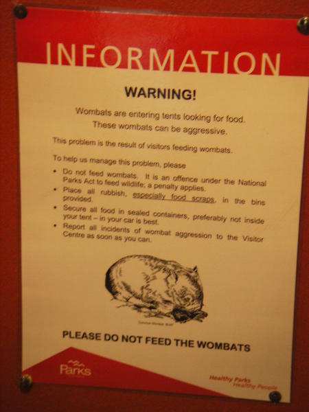 Wombat Warning!