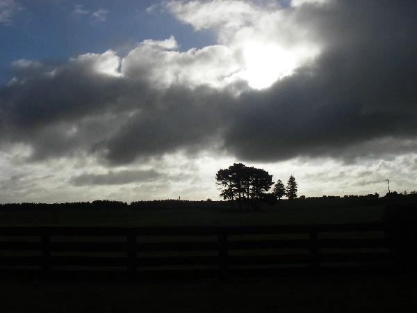 View at Wheatley Downs