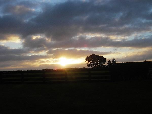 Sunset at Wheatley Downs