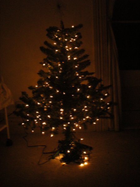 Christmas Tree Oh Christmas Tree...!