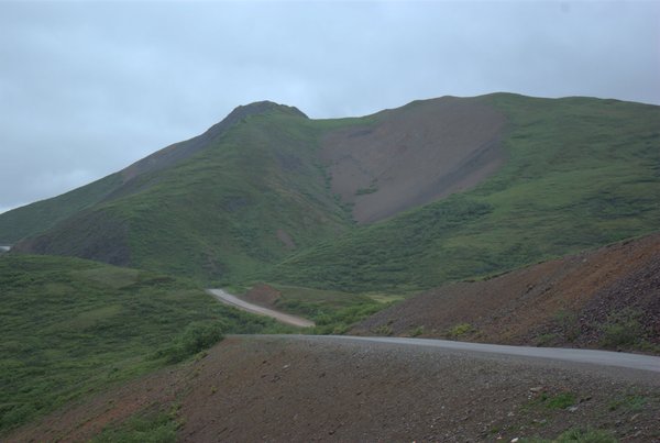 Denali road