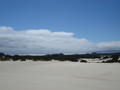 Henty Sand dunes