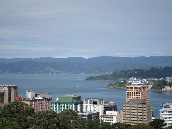 Wellington - Capital city