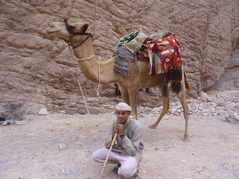 My camel posing with herdsman