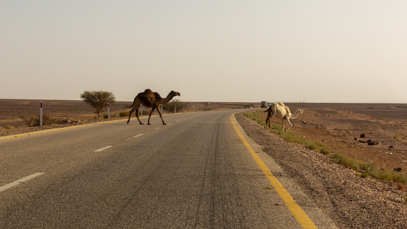 Road tripping in Jordan