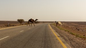 Road tripping in Jordan