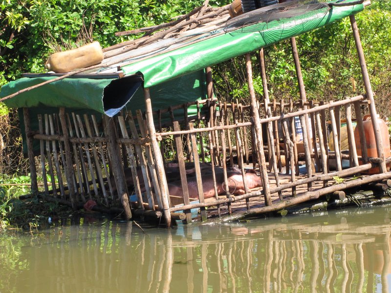 Vietnamese Floating Village