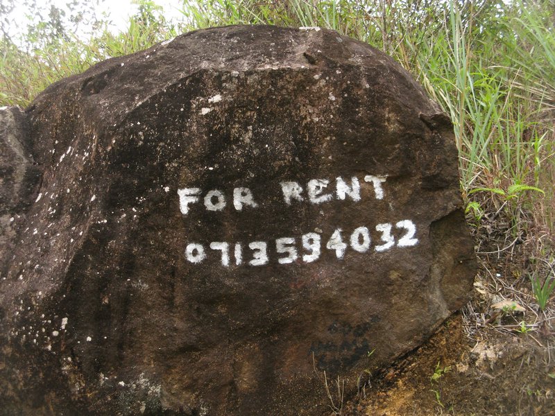 Want to rent a rock?