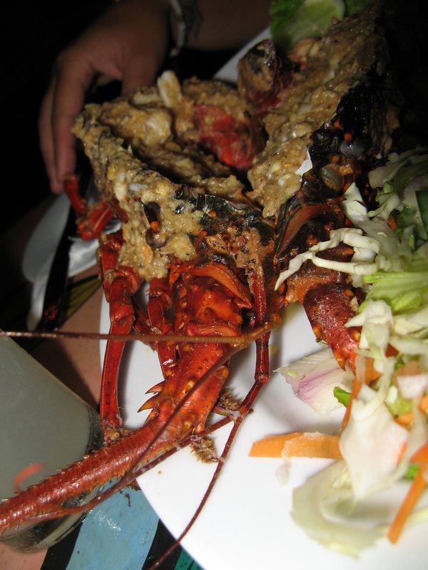 Our lobster dinner