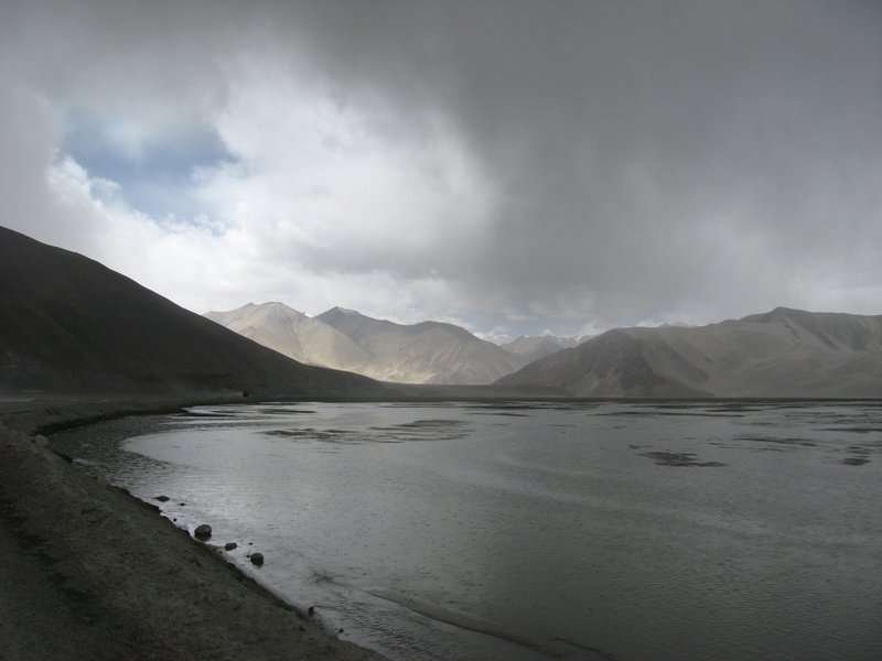 moody Lake Karakul