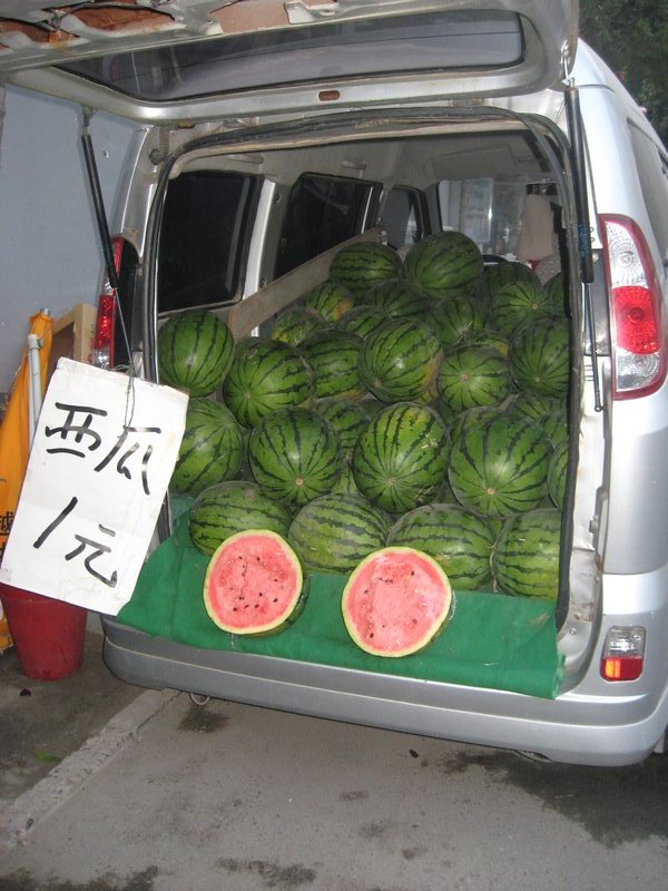 lots of watermelons