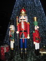 The Nutcracker Soldiers