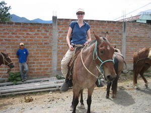 Horse riding in Vilcabamba
