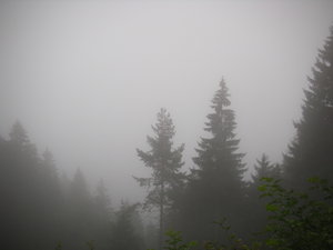 Foggy hike in Innsbruck