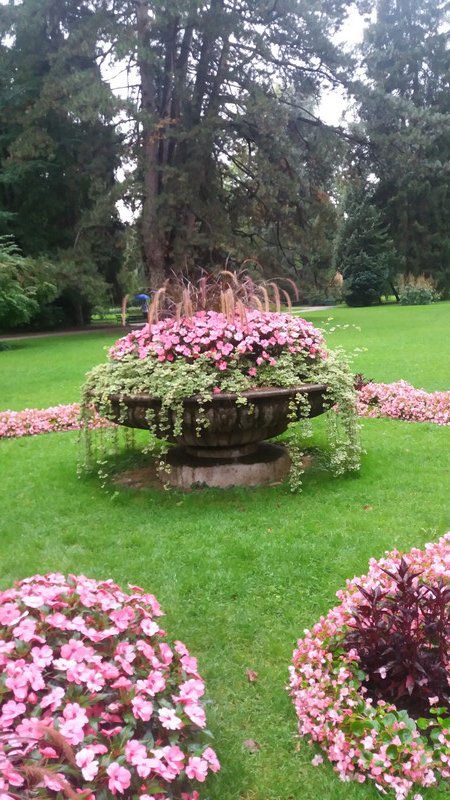 Flower beds in the Hof Gardens
