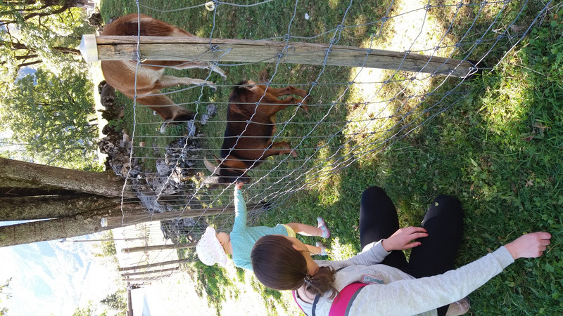 Irvy and Sopia feeding a very friendly goat