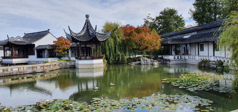 The Chinese Gardens