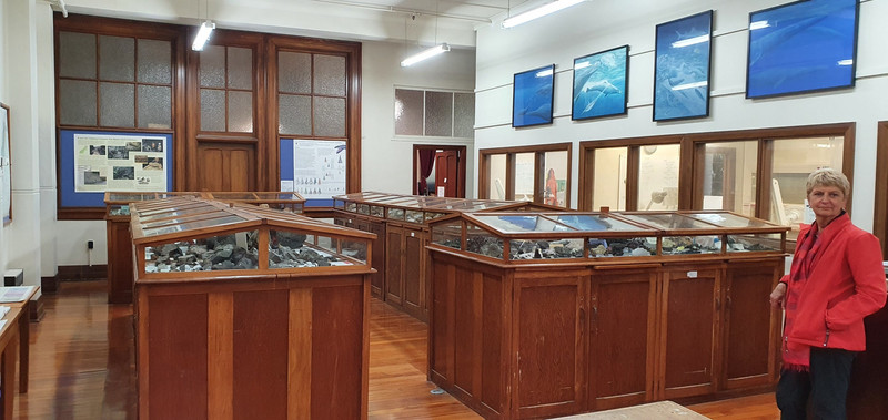 The Paleo display cabinets at the University