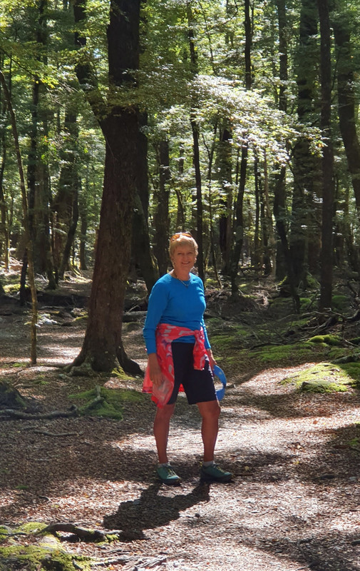 Me in the beech forest on the way to Lake Sylvan