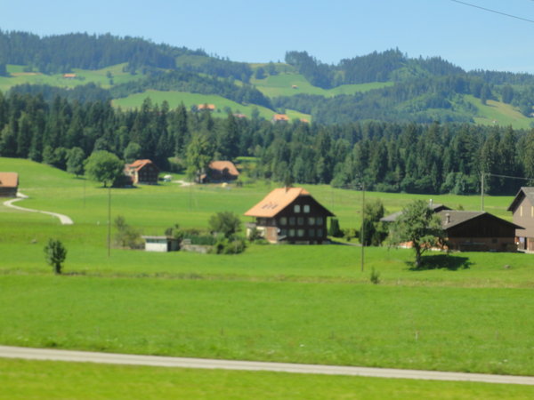 Farms and forest