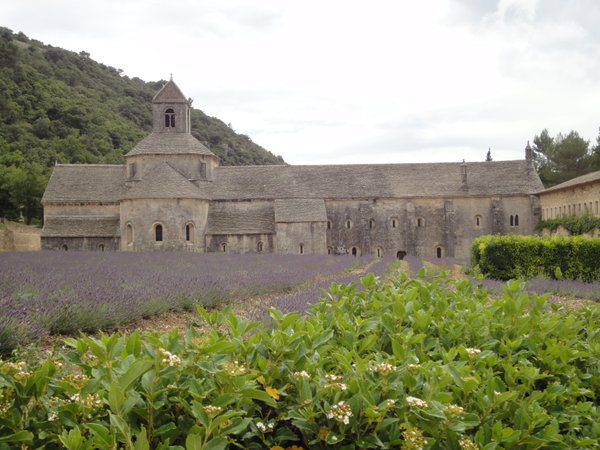 Abbey de Senanque 