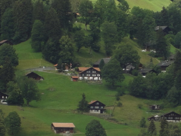 "Home" to Grindelwald