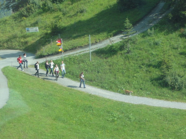 People walking on the trails beneath the cable cars