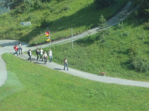 People walking on the trails beneath the cable cars