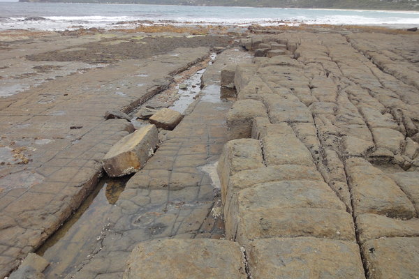 The tessellated pavement