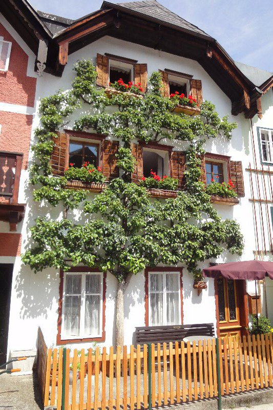 A house in the square at Hallstatt