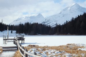 A frozen Lake da Staz