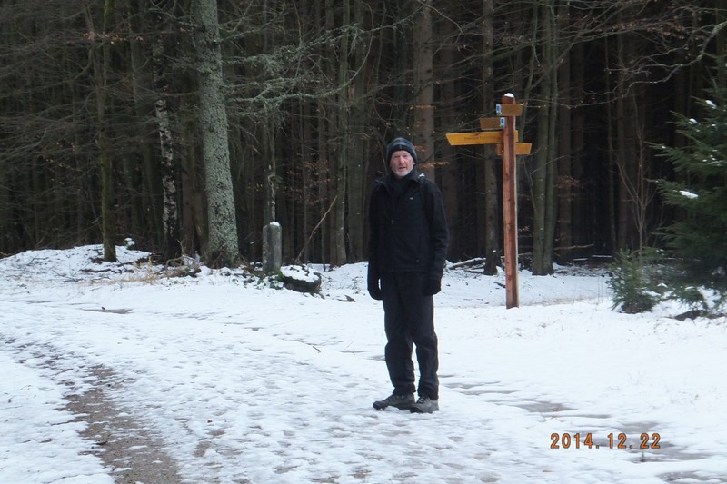 Wanderweg in Bayerisch National Park